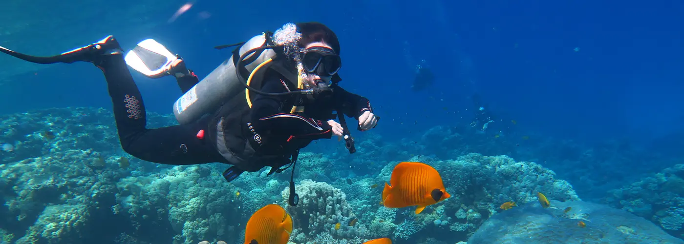 Egypt International Diving